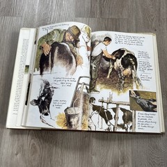 The Farm Book by Rien Poortvliet 1980 Harry N Abrams Hardcover & Dust Jacket
