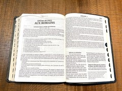 French Bible LARGE PRINT, Segond 1910 Bonded Leather Thumb Index, Red Letter