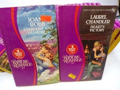 28 Rapture Romance Novels Multiple Titles Authors Numbers Paperback