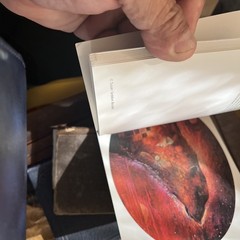 A SUSAN SEDDON BOULET BESTIARY: A BOOK OF POSTCARDS