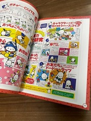Sanrio Design 90s to 2010s Japanese Book Hello Kitty My Melody Kuromi