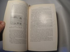 Principles of Pathologic Histology Mallory 1918 Medical Textbook Illustrated