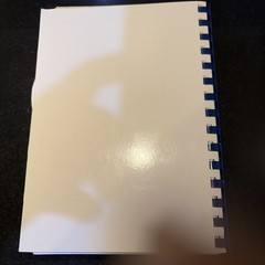 St Stanislaus Parish Cookbook 2016 Cleveland Ohio ~ 336+ Pages