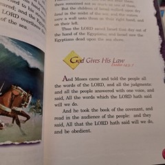 Abeka 2nd Grade readers Homeschool Reading Phonics Bible History Lot GOOD