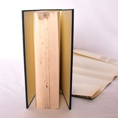 Civil War Reader Hardcover Richard Barksdale Harwell