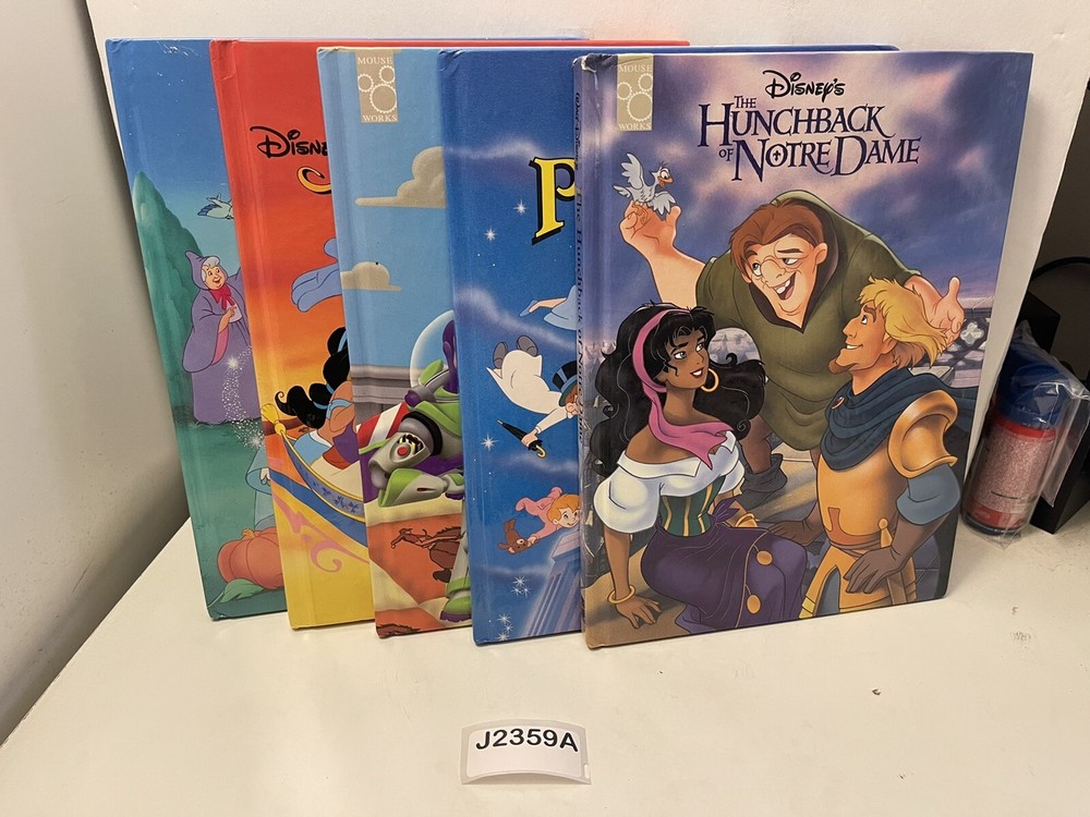 5 Disney Hardback 11.5×8.5 Books:
