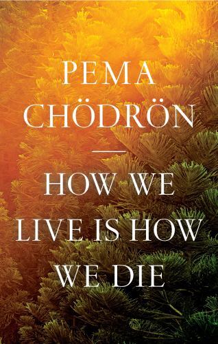 How We Live Is How We Die – Hardcover By Chdrn, Pema – VERY GOOD