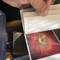 A SUSAN SEDDON BOULET BESTIARY: A BOOK OF POSTCARDS