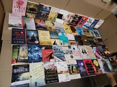 Lot of 10 Large Trade Literature Fiction Paperback BestSeller UNSORTED Mix Books