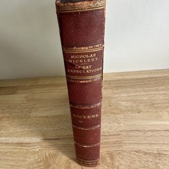 Charles Dickens Collected Works Illustrated Chapman & Hall Victorian Novels