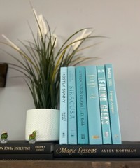 Stack of 6 colorful books for Decoration | Book Decor| Decorative Book set.