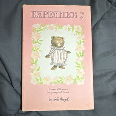 Expecting? Nursery Rhymes for Pregnant Times Dolli Tingle HC Illustrated