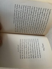 Safe Review by Catherine Dexter. Hard Cover. Very Good Condition