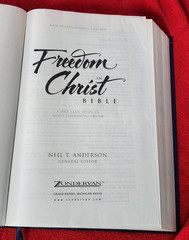 Freedom in Christ Bible New International Version Discovery Zondervan 2001 HB