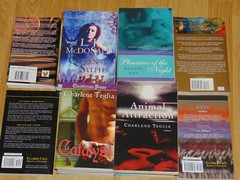 Romance / Fantasy Novels Books Random Mixed 2000’s & 2010’s Lot Of 18