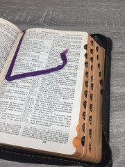 Holy Bible Self-Pronouncing S.S. Teachers Red Letter 1926 National Bible Press