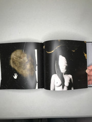 Staging Pictures Early Polaroids Robert Stivers Signed 1st Ed 2017 Ltd 450 HC DJ