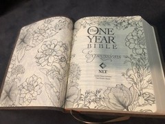 One Year Nlt New Living Translation Expressions Bible Brown Leather Journaling
