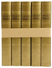 Holy Bible ESV Placed Gideons English Standard Version Hardcover 2013 Gold New