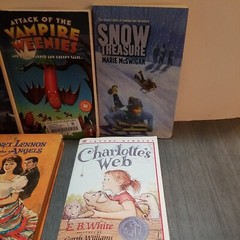 Lot of 10 Mixed Random Children’s Books and Young Adult Novels, Classic Stories