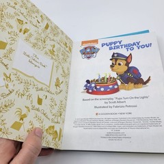 Little Golden Books Lot of 5 PAW PATROL Children’s Stories for Girls & Boys – GB