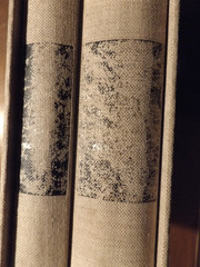 Pamploma Bibles (2 Vol Set) by Francois Bucher (1970)With Storage Sleeve