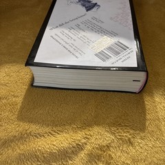 Familiar, Volume 1 : One Rainy Day in May by Mark Z. Danielewski (2015, Trade…