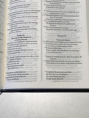 French English Parallel Bible,ESV English Standard,Revised Segond Colombe Black