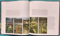 Wild Alaska The American Wilderness 1982 Time-Life Hardcover 184 Pages