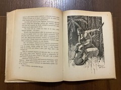 Lviv 1921 DRUGA KSIEGA DZUNGLI RUDYARD KIPLING Polish book VERY RARE