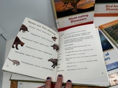 Set of 6 Dinosaur World Books Robin Birch Ex-Lib Teacher Homeschool Reading