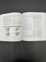 How to Cook Everything Vegetarian by Mark Bittman (2007 Hardback Cookbook)