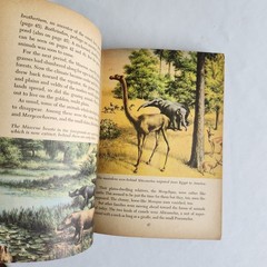 Golden Books Prehistoric Animals: Dinosaurs and Other Reptiles and Mammals 1958