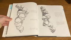 Burne Hogarth Dynamic Figure Drawing + Drawing Dynamic Hands 2 Book