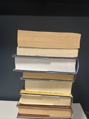 World War II Europe Nazi Germany Hitler Holocaust Third Reich – Book Lot Of 12