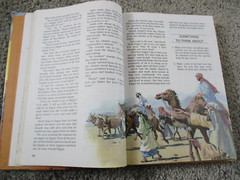 The Victor Family Story Bible – V Gilbert Beers & Ronald A Beers 1985 Illustrate