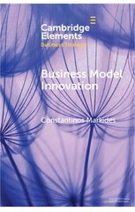 Business Model Innovation (Paperback or Softback)
