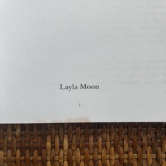 Layla Moon Books – Lot Of 3 – Paperback – Números Angelicales- El Único Libro –