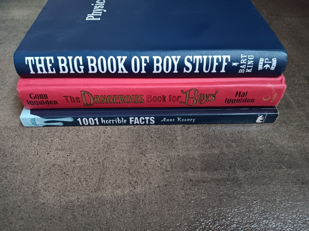 Lot Of 3 Book Dangerous Book For Boys Big Book Of Boy Stuff 1001 Horrible Facts