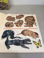 (2) Whitman Discover Trains & Discover Wildlife Sticker Fun Book Unused 1970s
