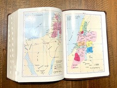 French Thompson Chain Ref. Bible, 1979 La Colombe, Thumb Idx. Brown Faux Leather