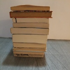 Lot of 10 Mixed Random Children’s Books and Young Adult Novels, Classic Stories