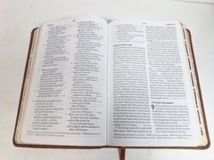 Holman Bible Christian Standard Version Children’s Lion King Cover Color Maps
