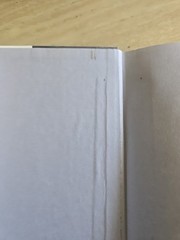 48 Laws of Power, Greene HC 1998 1st edition.