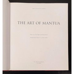 The Art OF Mantua: Power & Patronage In The Renaissance Hardcover 280 Pages