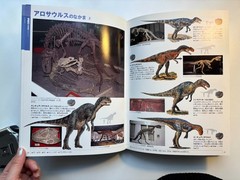 Japanese Childrens Dinasars book Shogakukan Encyclopedia NEO 180 pages