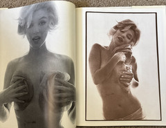 The Last Sitting Bert Stern – Marilyn Monroe 1982 William Morrow & Company