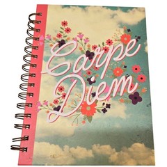 Markings by C.R. Gibson JOURNAL DIARY NOTES ~190 ruled pages CARPE DIEM 8″X5.75″