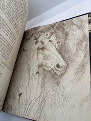 The Unicorn of Kilimanjaro | Robert Vavra | 1988 1st Ed Hardcover #LikeNew