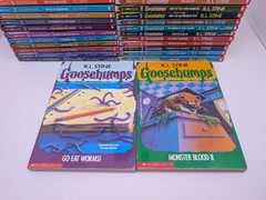 LOT OF 30: Vintage 90s RL Stine GOOSEBUMPS Books VG/EX All Different + Extras